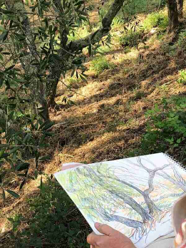 Painting in the olive groves