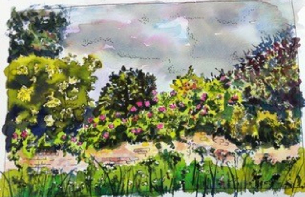 Watercolor painting Gardens Galore